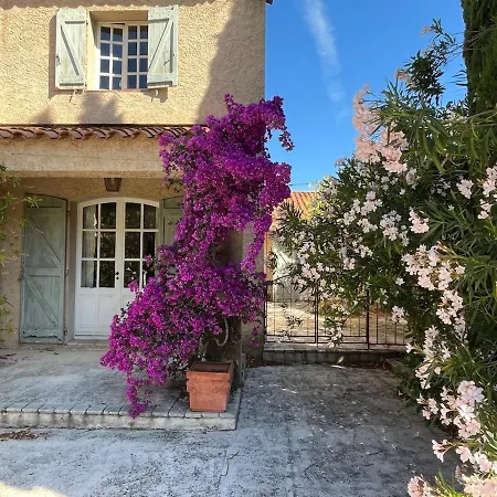 Bastide St Michel - Bottom Of For Rent 11 People 別荘